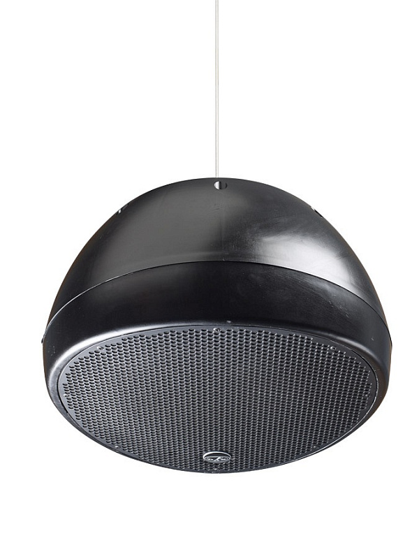 Фото DAS AUDIO OVI-12