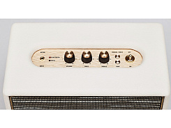 Портативная акустическая система MARSHALL Acton Cream