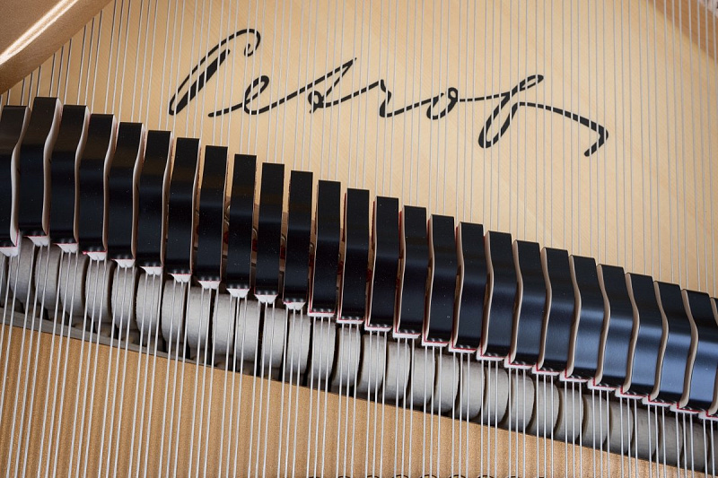 Фото Petrof P 173 Breeze (0801)