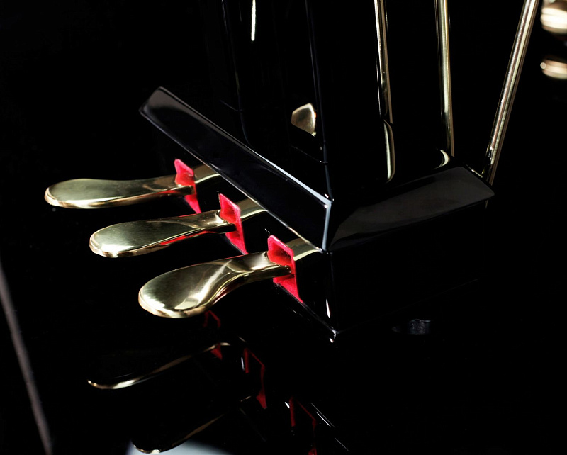 Фото MEDELI GRAND500 (GB) Цифровой рояль