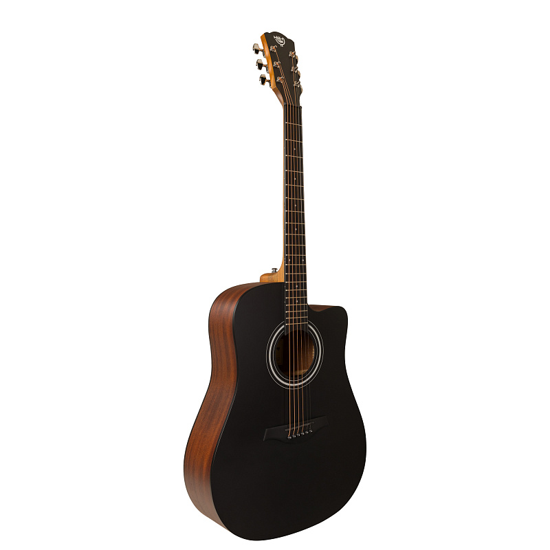 Фото Акустическая гитара ROCKDALE Aurora D3 Satin C BK