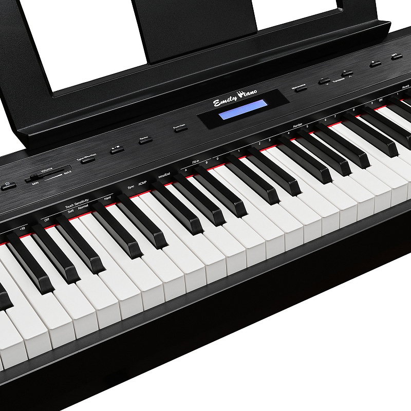 Фото Цифровое фортепиано EMILY PIANO D-22 BK