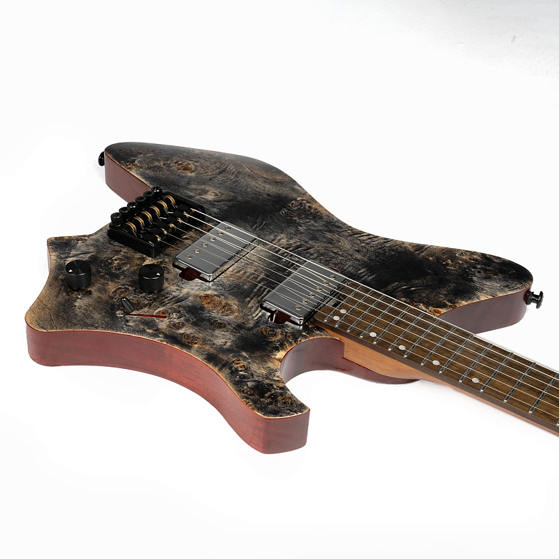 Фото Электрогитара EART GW2 Black