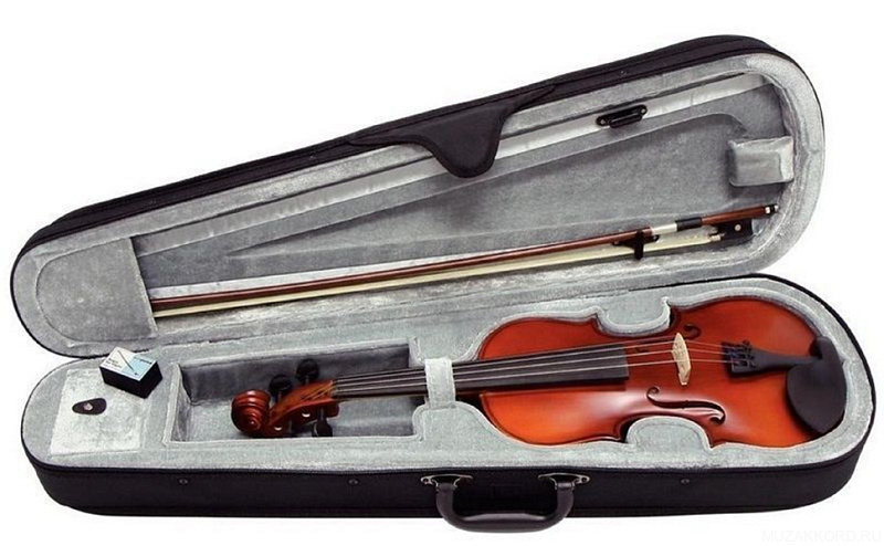 Фото GEWAPure Violin Outfit EW 1/2