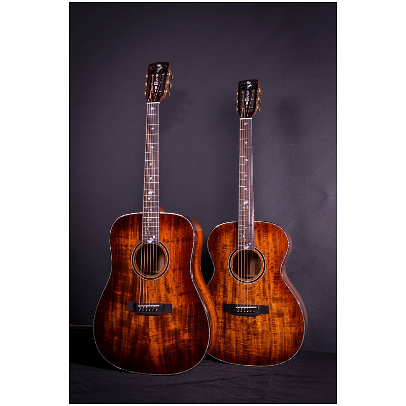 Фото Электроакустическая гитара CRAFTER MIND T-2500e ALK DL