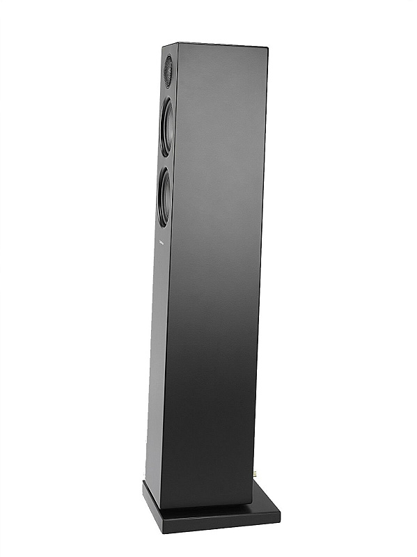 Фото Портативная колонка AUDIO PRO Addon T20 Black