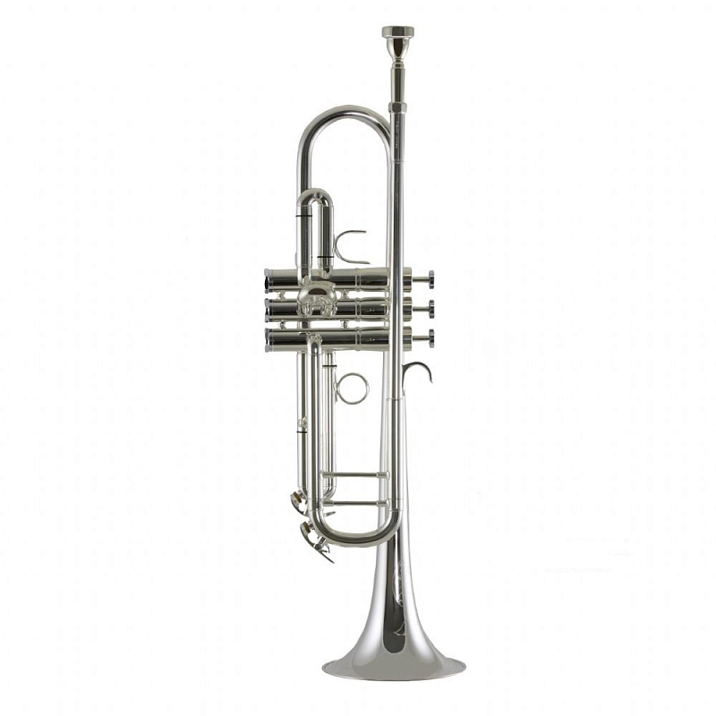 Фото Trevor James Renaissance TJTR8500SP Bb