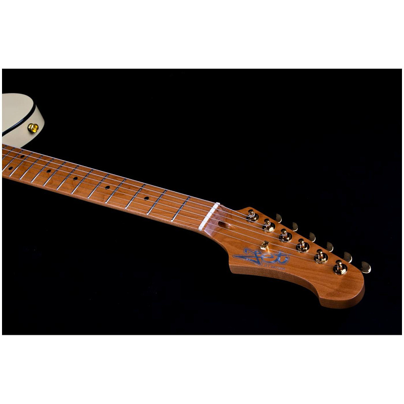 Фото Электрогитара JET JT-300 AW G