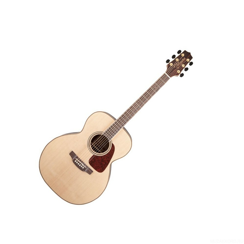 Фото Акустическая гитара TAKAMINE G90 SERIES GN93