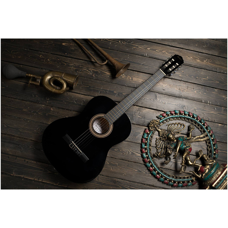 Фото Классическая гитара TERRIS TC-390A BK