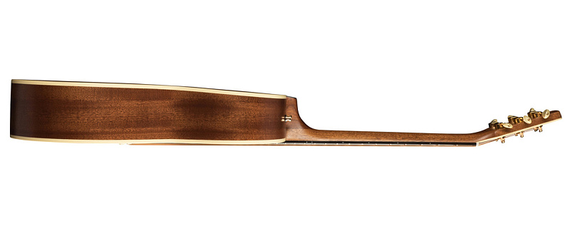 Фото Seagull 041558 Artist Mosaic CW Folk Element DLX TRIC