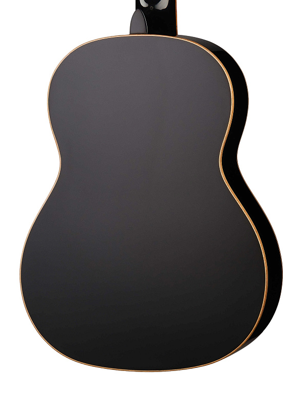 Фото Классическая гитара Ortega R221BK Family Series 