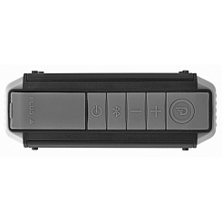 Портативная акустическая система DREAMWAVE Explorer graphite