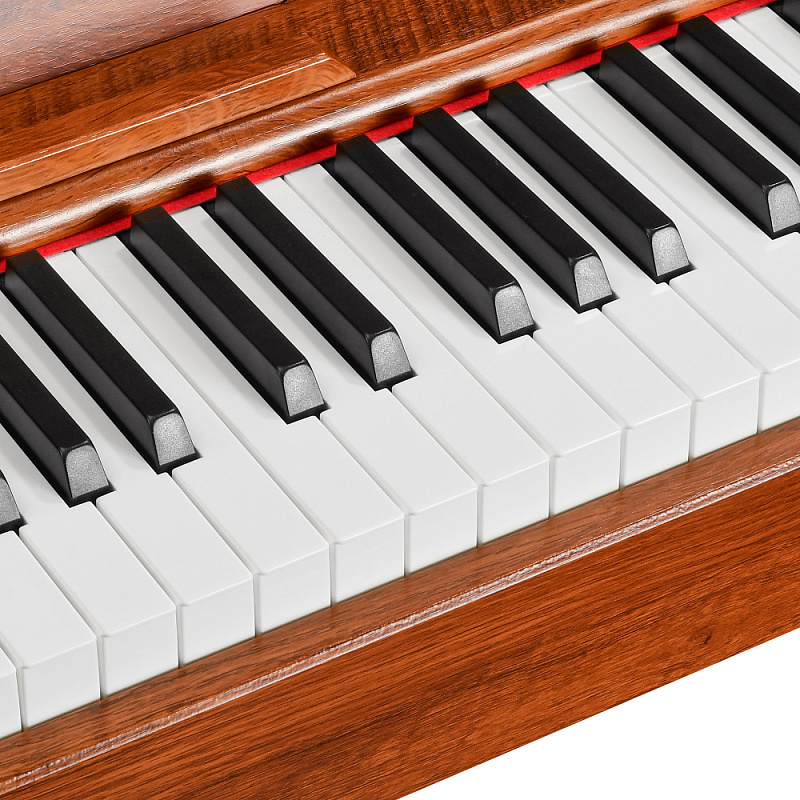 Фото Цифровое фортепиано EMILY PIANO D-47 BR