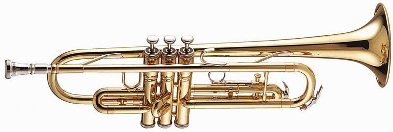 Фото Труба BOSTON TR-235-RB