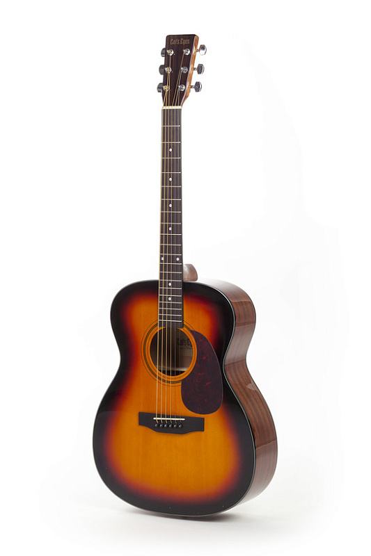 Фото Акустическая гитара TOKAI CAT EYE CE25T ST