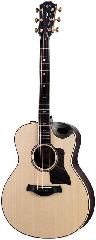Фото Taylor 816ce Builderâs Edition
