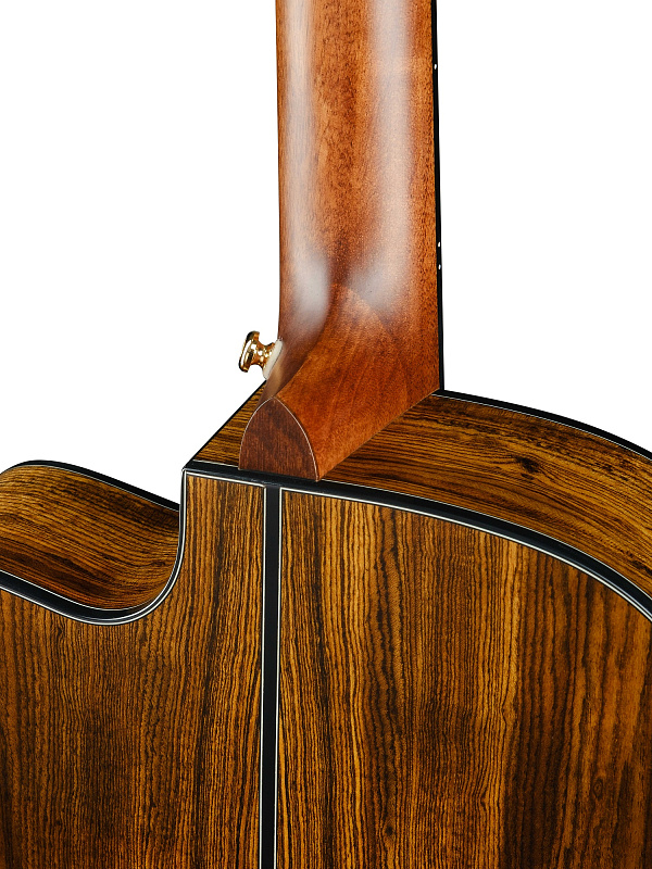 Фото Gold-OC6-Bocote-WCASE-NAT Gold Series Электро-акустическая гитара, цвет натуральный, с чехлом, Cort