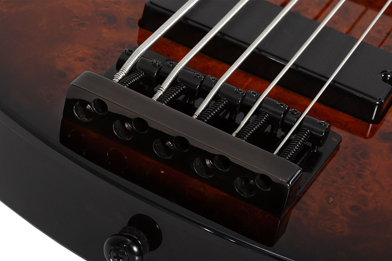 Фото Бас гитара Schecter C-5 STANDARD TB