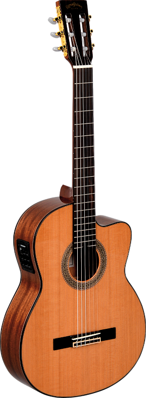 Фото Гитара Sigma CMC-6E