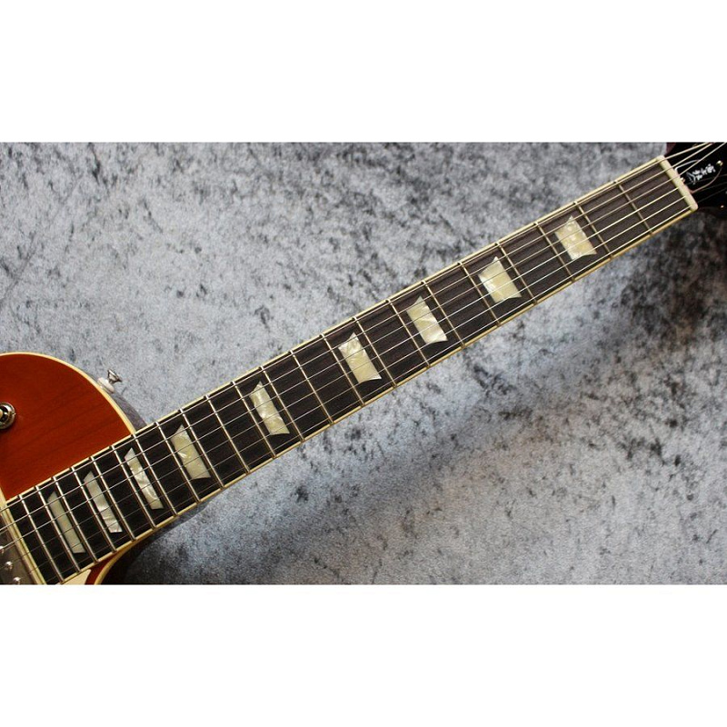 Фото Электрогитара с чехлом FGN NLS10GMP FCB