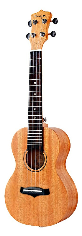 Фото Enya EUT-25D