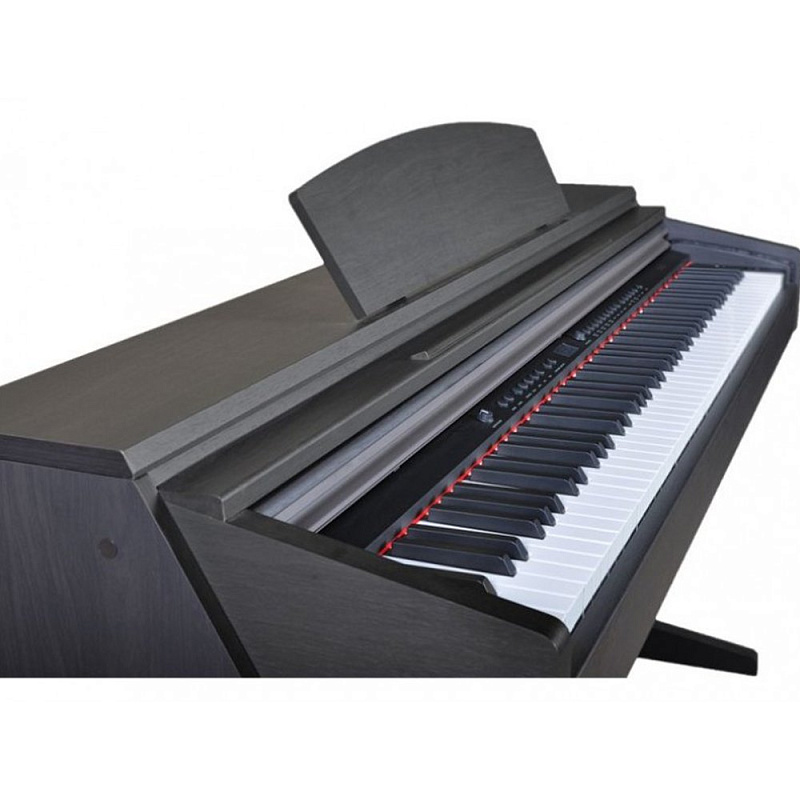 Фото Artesia DP-7 Rosewood Satin