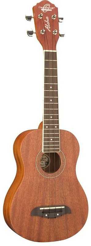 Фото Oscar Schmidt OU2PAK