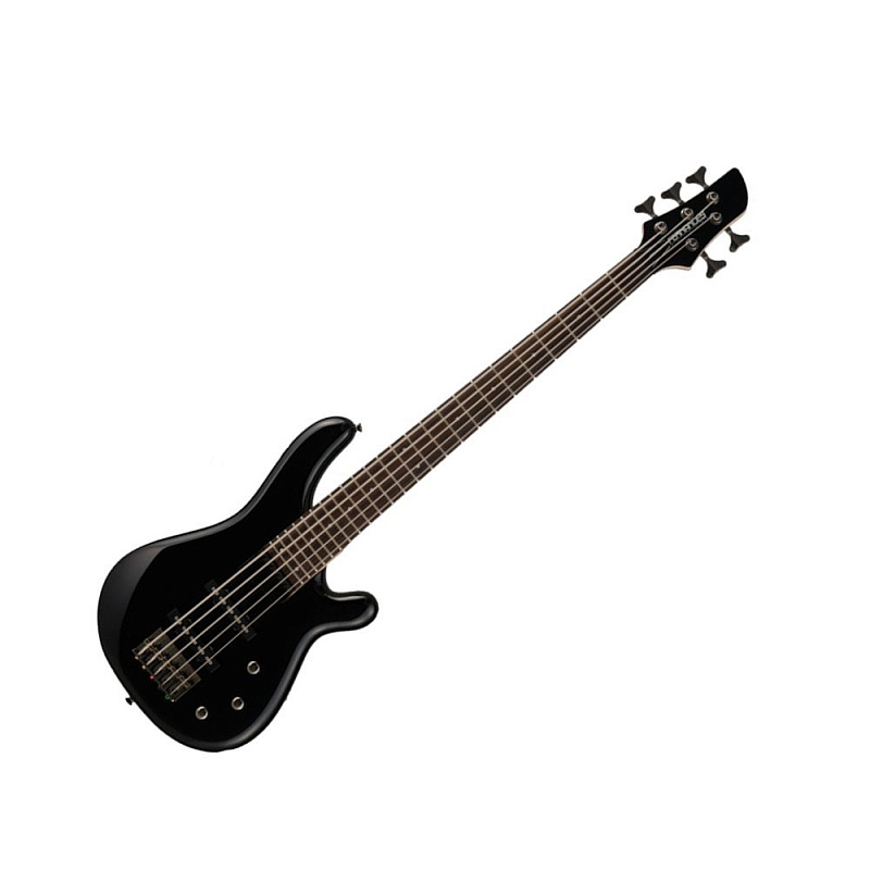 Фото Fernandes G5X08 BLK