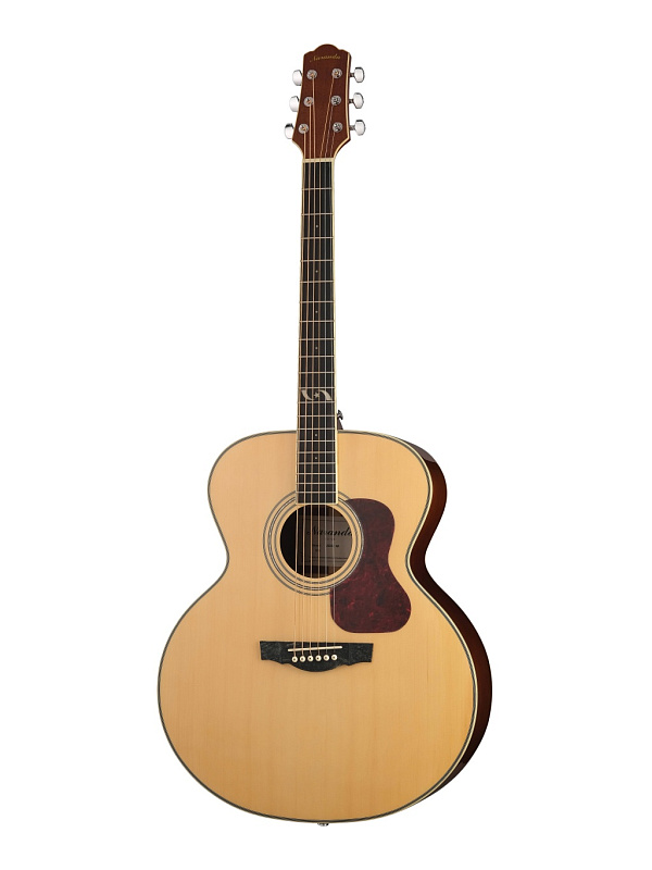 Фото Акустическая гитара Naranda JG303NA