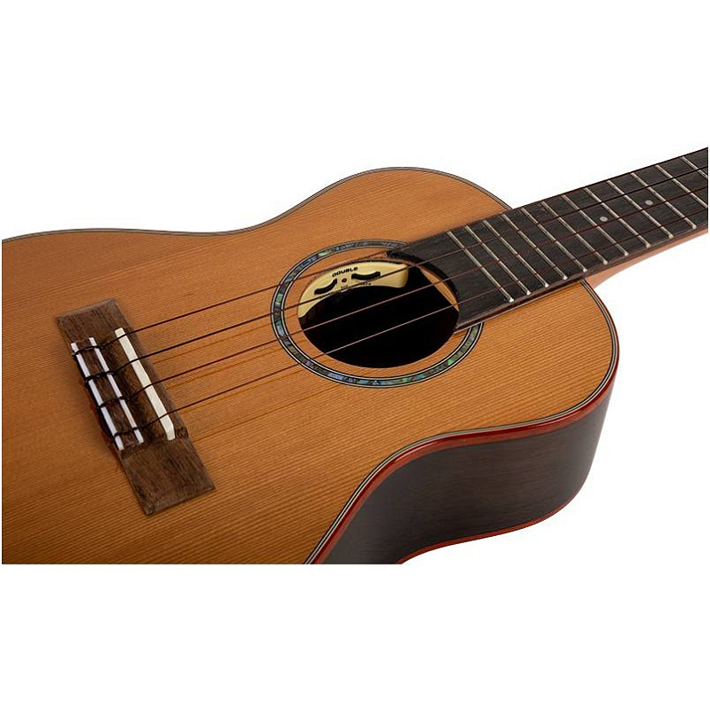 Фото Укулеле концерт FLIGHT DIANA CE