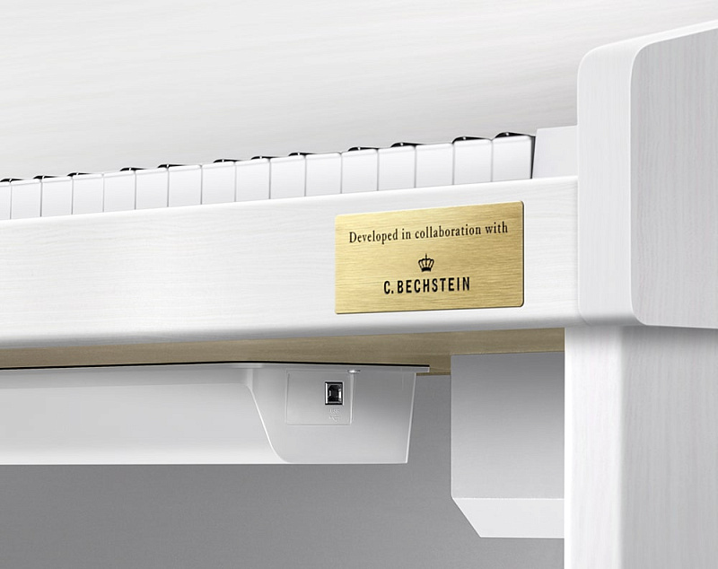 Фото Цифровое фортепиано Casio Celviano GP-310WE