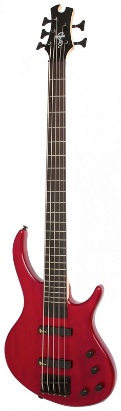 Фото EPIPHONE Toby Deluxe-V Bass (gloss) TR