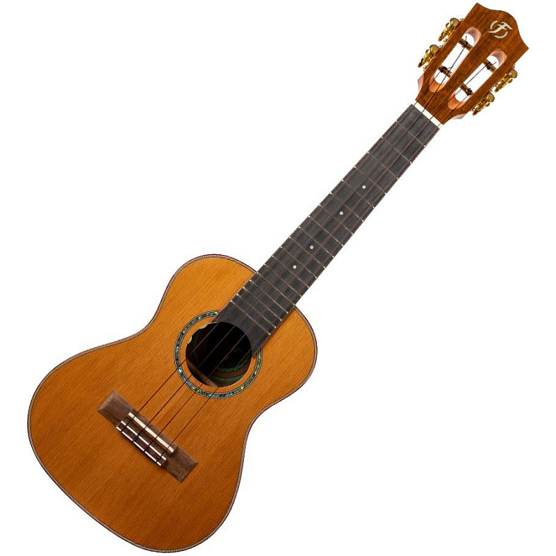 Фото Укулеле концерт FLIGHT DIANA CE