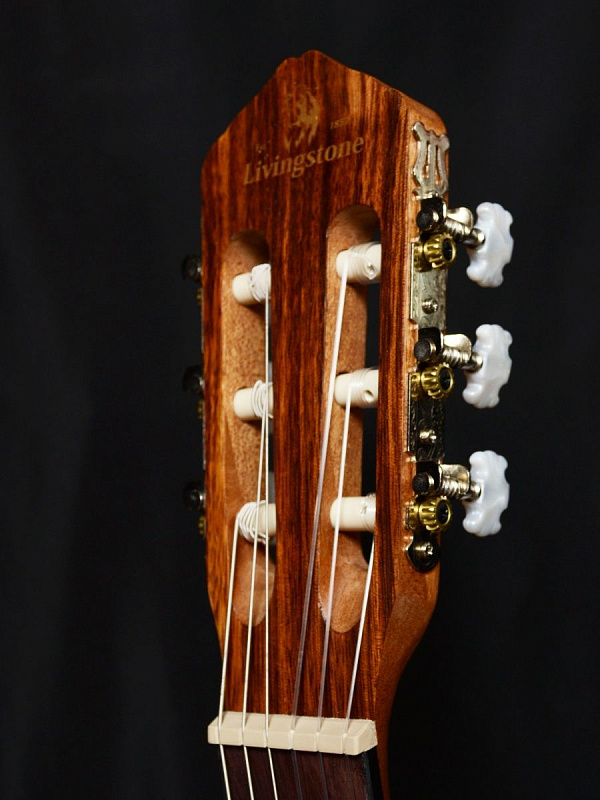 Фото Гитара классическая Livingstone Opera NA