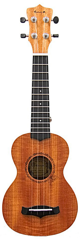 Фото Enya EUS-20