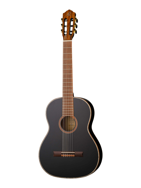 Фото Классическая гитара Ortega R221BK Family Series 