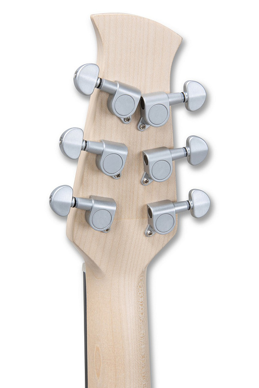 Фото Гитара акустическая APPLAUSE AAS69-R Lipstick