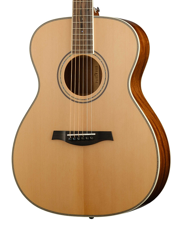 Фото Акустическая гитара Parkwood P620-WCASE-NAT