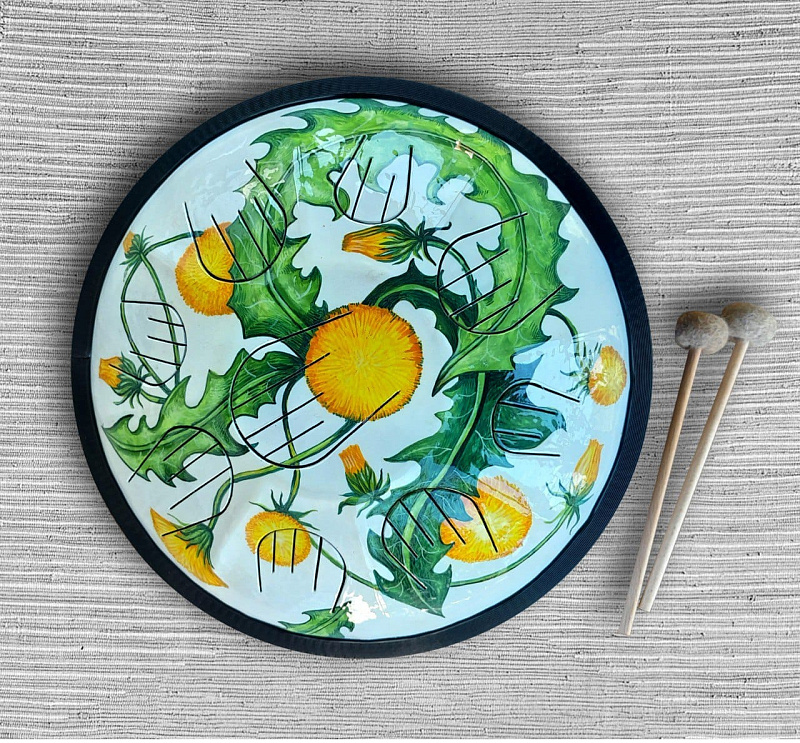 Фото Глюкофон Pangooda Drums PNG-36-GRS-F1 "Гранофон Одуванчик"