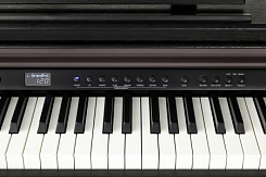 Цифровое пианино Kurzweil CUP E1 SR