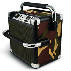 Активная акустическая система ION Audio TAILGATER ACTIVE