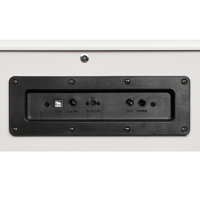 Фото Цифровое фортепиано EMILY PIANO D-54 WH