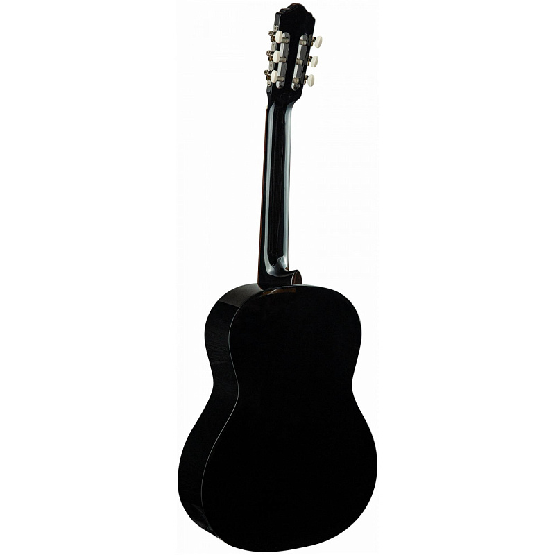Фото Классическая гитара FLIGHT C-120 BK