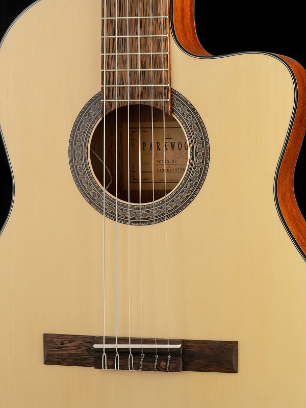 Фото Электро-акустическая Parkwood PC110-WBAG-OP