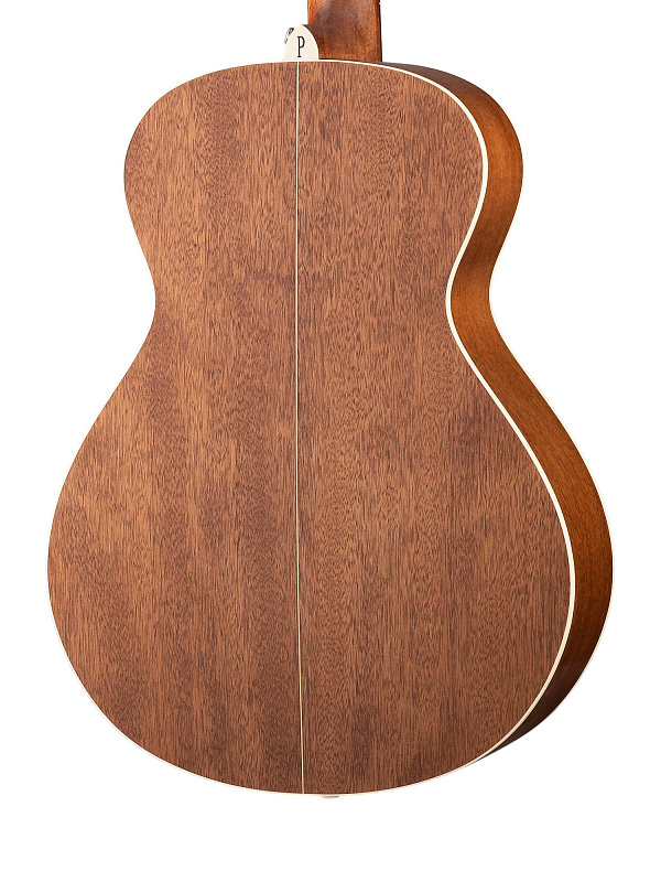 Фото Акустическая гитара Parkwood S23-GT